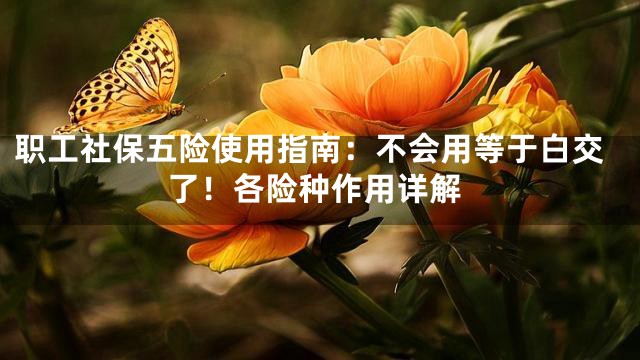 职工社保五险使用指南：不会用等于白交了！各险种作用详解