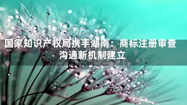 国家知识产权局携手湖南：商标注册审查沟通新机制建立