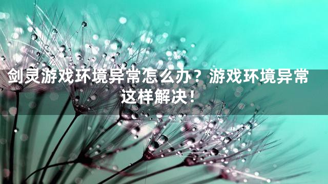 剑灵游戏环境异常怎么办？游戏环境异常这样解决！