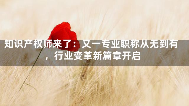 知识产权师来了：又一专业职称从无到有，行业变革新篇章开启