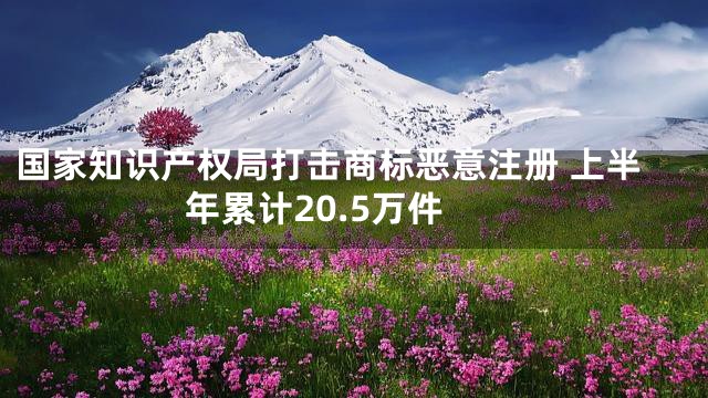国家知识产权局打击商标恶意注册 上半年累计20.5万件