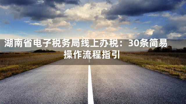 湖南省电子税务局线上办税：30条简易操作流程指引