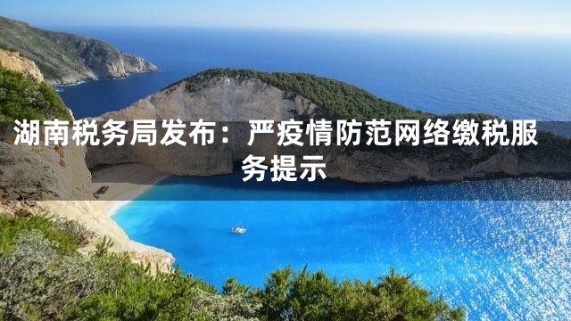 湖南税务局发布：严疫情防范网络缴税服务提示