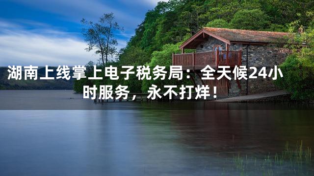 湖南上线掌上电子税务局：全天候24小时服务，永不打烊！