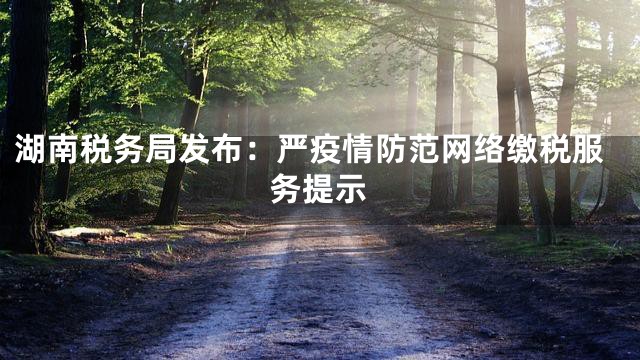 湖南税务局发布：严疫情防范网络缴税服务提示