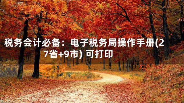 税务会计必备：电子税务局操作手册(27省+9市) 可打印