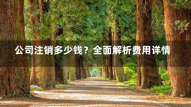 公司注销多少钱？全面解析费用详情