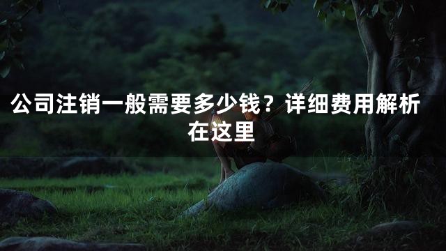 公司注销一般需要多少钱？详细费用解析在这里