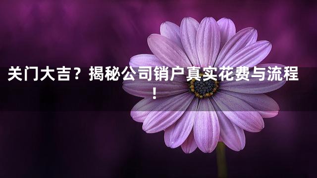 关门大吉？揭秘公司销户真实花费与流程！