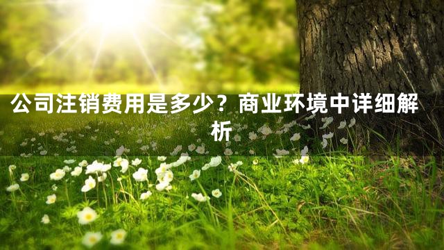 公司注销费用是多少？商业环境中详细解析