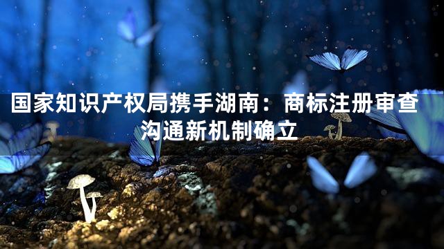 国家知识产权局携手湖南：商标注册审查沟通新机制确立