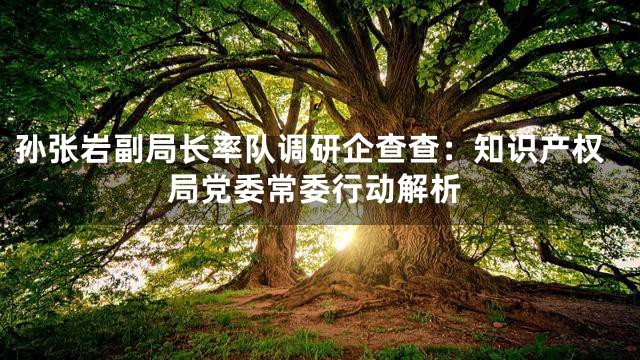 孙张岩副局长率队调研企查查：知识产权局党委常委行动解析