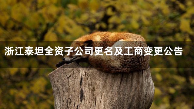 浙江泰坦全资子公司更名及工商变更公告