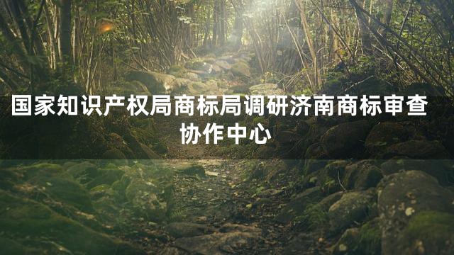 国家知识产权局商标局调研济南商标审查协作中心