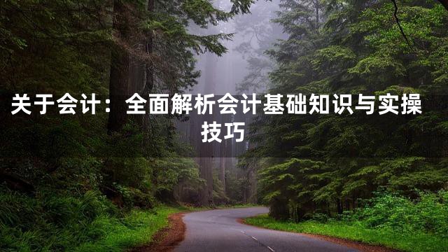 关于会计：全面解析会计基础知识与实操技巧