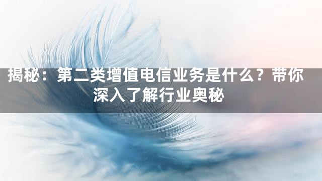 揭秘：第二类增值电信业务是什么？带你深入了解行业奥秘