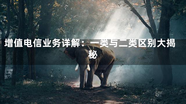 增值电信业务详解：一类与二类区别大揭秘