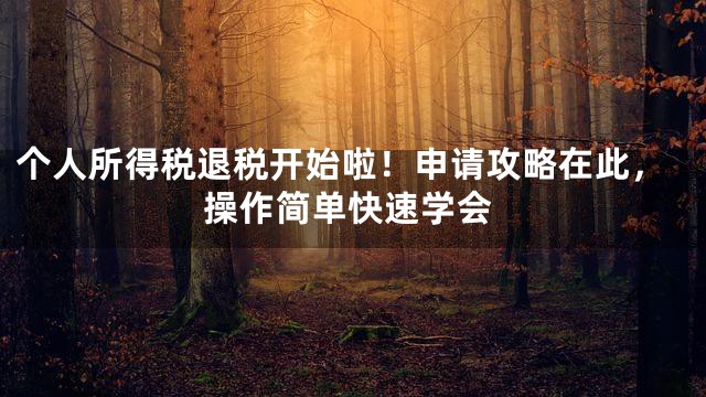 个人所得税退税开始啦！申请攻略在此，操作简单快速学会