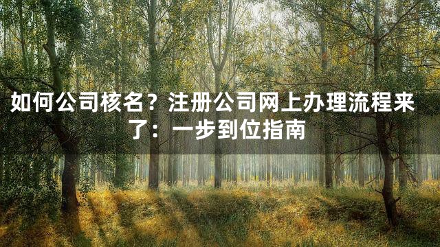 如何公司核名？注册公司网上办理流程来了：一步到位指南