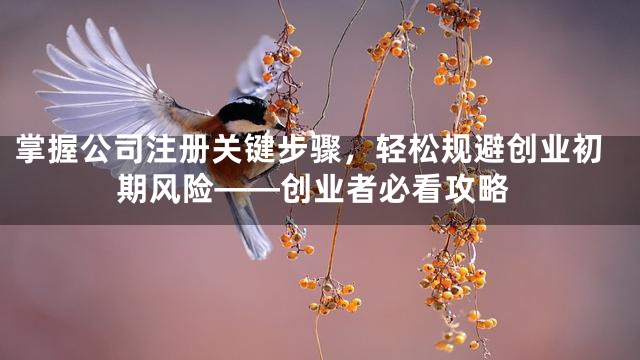 掌握公司注册关键步骤，轻松规避创业初期风险——创业者必看攻略