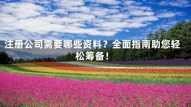 注册公司需要哪些资料？全面指南助您轻松筹备！