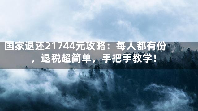 国家退还21744元攻略：每人都有份，退税超简单，手把手教学！