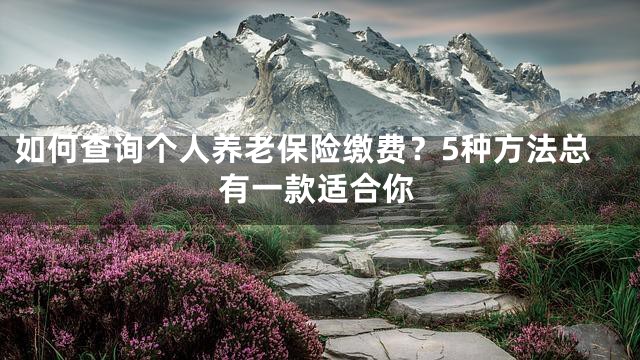 如何查询个人养老保险缴费？5种方法总有一款适合你