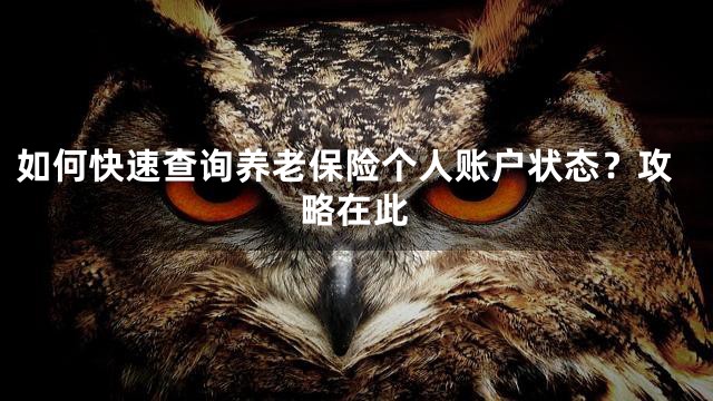 如何快速查询养老保险个人账户状态？攻略在此