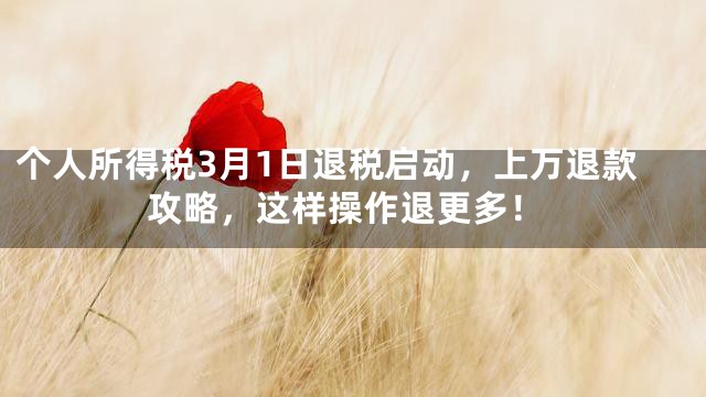 个人所得税3月1日退税启动，上万退款攻略，这样操作退更多！