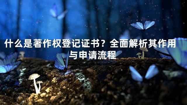 什么是著作权登记证书？全面解析其作用与申请流程
