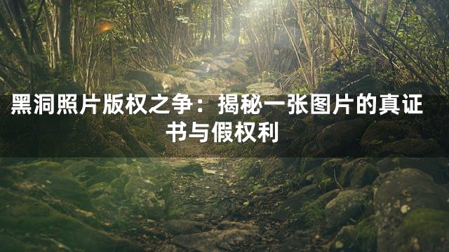 黑洞照片版权之争：揭秘一张图片的真证书与假权利