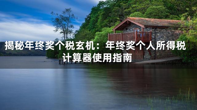揭秘年终奖个税玄机：年终奖个人所得税计算器使用指南