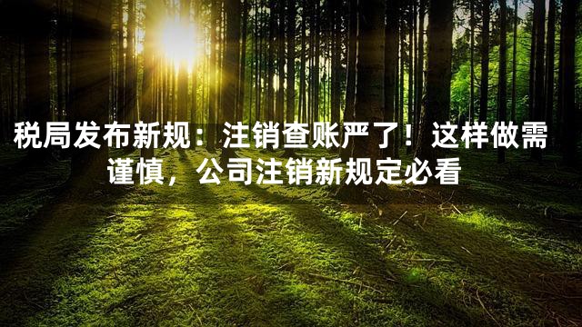 税局发布新规：注销查账严了！这样做需谨慎，公司注销新规定必看