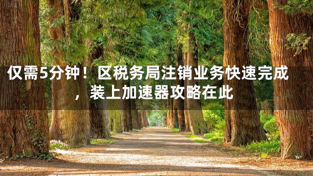 仅需5分钟！区税务局注销业务快速完成，装上加速器攻略在此