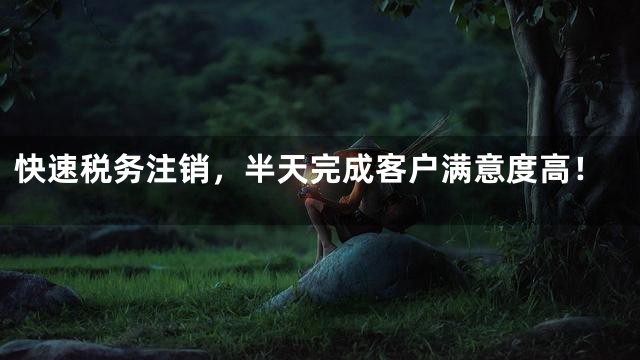 快速税务注销，半天完成客户满意度高！