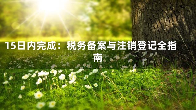 15日内完成：税务备案与注销登记全指南