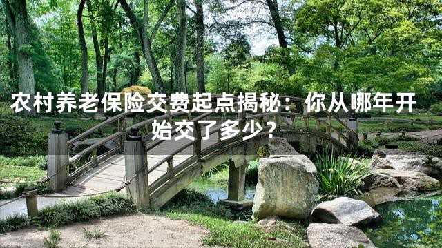 农村养老保险交费起点揭秘：你从哪年开始交了多少？