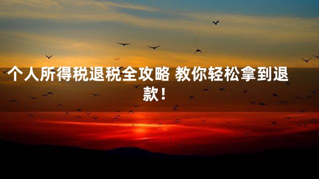个人所得税退税全攻略 教你轻松拿到退款！