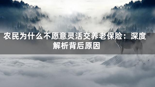 农民为什么不愿意灵活交养老保险：深度解析背后原因