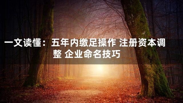 一文读懂：五年内缴足操作 注册资本调整 企业命名技巧