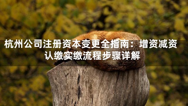 杭州公司注册资本变更全指南：增资减资认缴实缴流程步骤详解