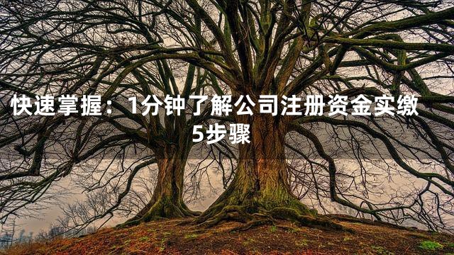 快速掌握：1分钟了解公司注册资金实缴5步骤