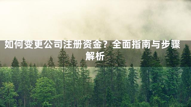 如何变更公司注册资金？全面指南与步骤解析