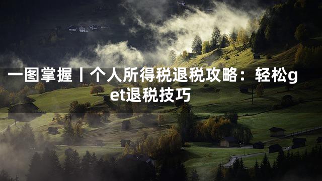 一图掌握丨个人所得税退税攻略：轻松get退税技巧