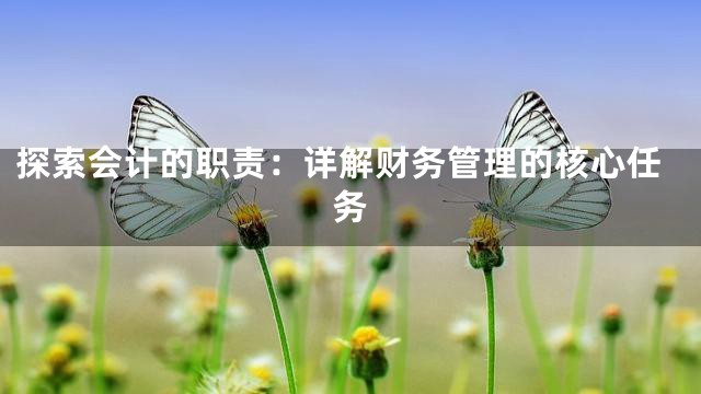 探索会计的职责：详解财务管理的核心任务