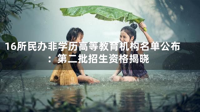 16所民办非学历高等教育机构名单公布：第二批招生资格揭晓