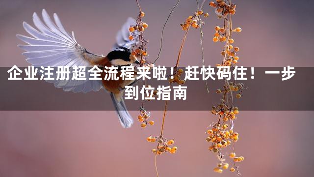 企业注册超全流程来啦！赶快码住！一步到位指南