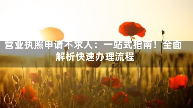 营业执照申请不求人：一站式指南！全面解析快速办理流程