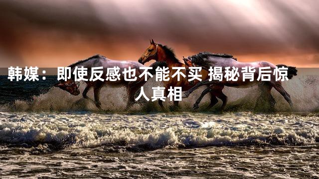 韩媒：即使反感也不能不买 揭秘背后惊人真相