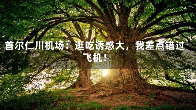 首尔仁川机场：逛吃诱惑大，我差点错过飞机！